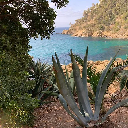 Διαμέρισμα Un Havre De Paix Proche Du Centre Et Des Plages Grand Avec Un Canape Lit Et Un Coin Nuit Lit Double